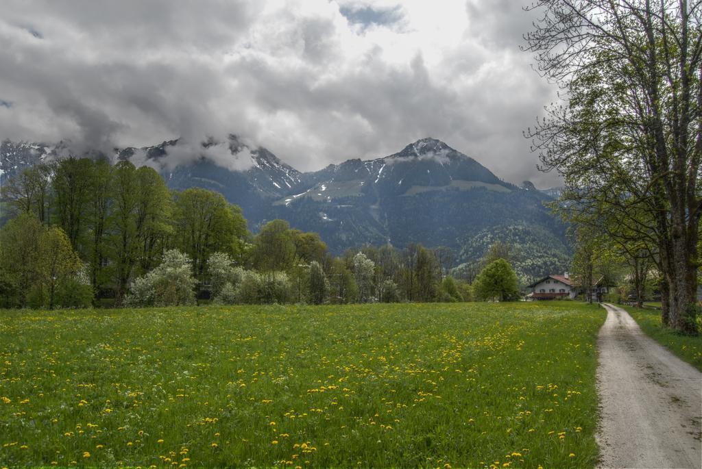 Schönau am KönigsseeAlpenhof Punzenlehenアパートメント エクステリア 写真