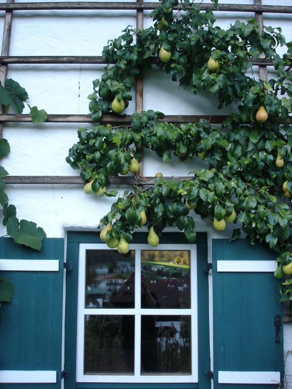 Schönau am KönigsseeAlpenhof Punzenlehenアパートメント エクステリア 写真