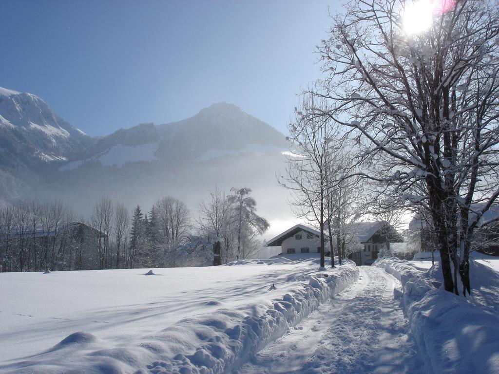 Schönau am KönigsseeAlpenhof Punzenlehenアパートメント エクステリア 写真